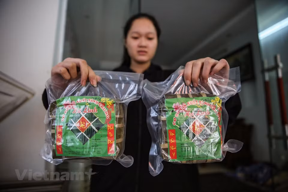 Chung cakes of Tranh Khuc village are sold in all major markets in the capital such as Ngoc Ha, Doi Can, and Quan Thanh and account for 50 percent of Hanoi’s market share. Overseas Vietnamese people bring Chung cake with them to other countries. The Tet tray of Vietnamese people cannot be complete without green Chung cake. On these days, the spring and traditional Tet atmosphere is prevailing over the village. All villagers from the elderly to children are involved in making Chung cake such as washing dong leaves and rice, steaming green beans, preparing meats, and wrapping the cakes to supply the Tet market. (Photo: Minh Son/Vietnam+)