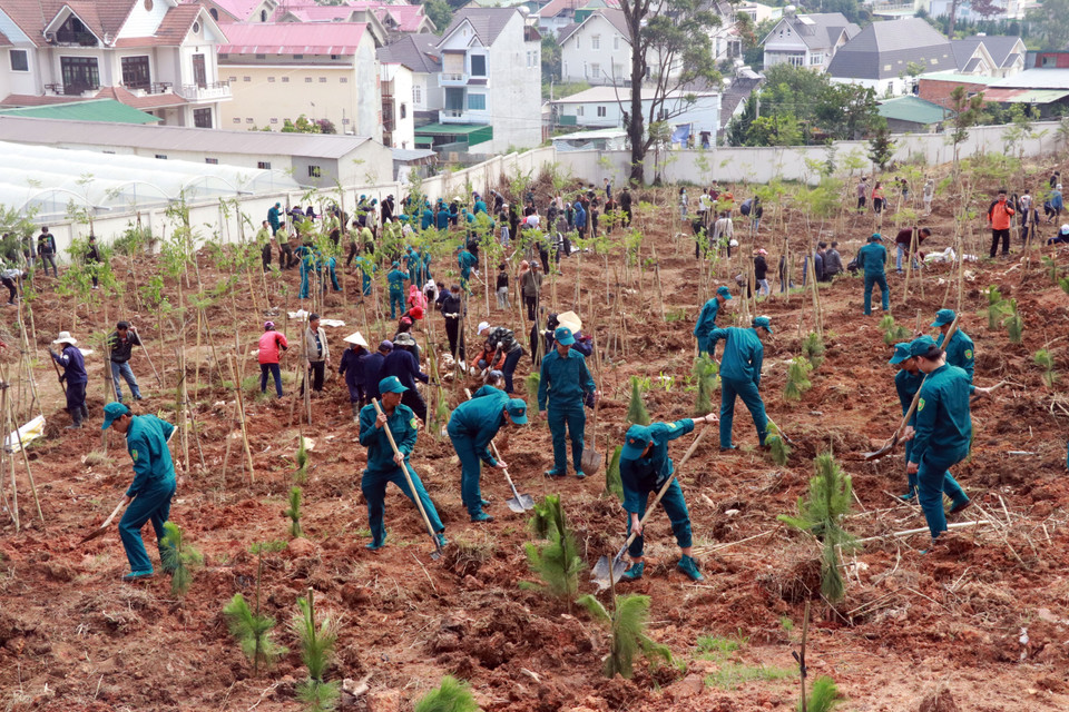 Soldiers, youth union members and students of Da Lat city participate in planting 1,500 trees at the launching ceremony of afforestation and tree planting festival in 2020. (Photo: VNA)