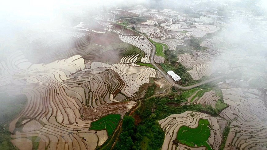 Terraced rice fields in Bat Xat district in the northern mountainous province of Lao Cai. (Photo: Vietnam+)