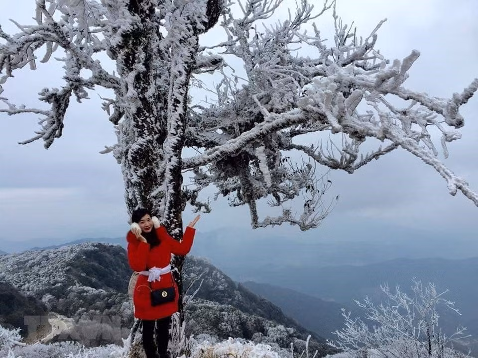 Many tourists flock here to admire this amazing phenomenon (Photo: VNA)