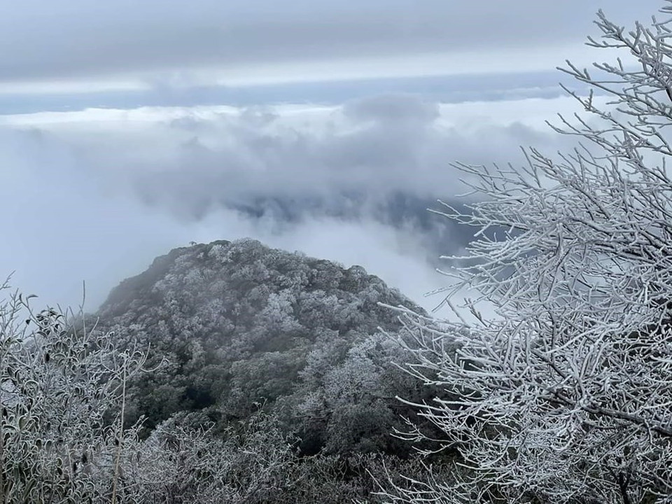 Mount Phia Oac is covered with a white colour of ice. The landscape looks like in Europe (Photo: VNA)