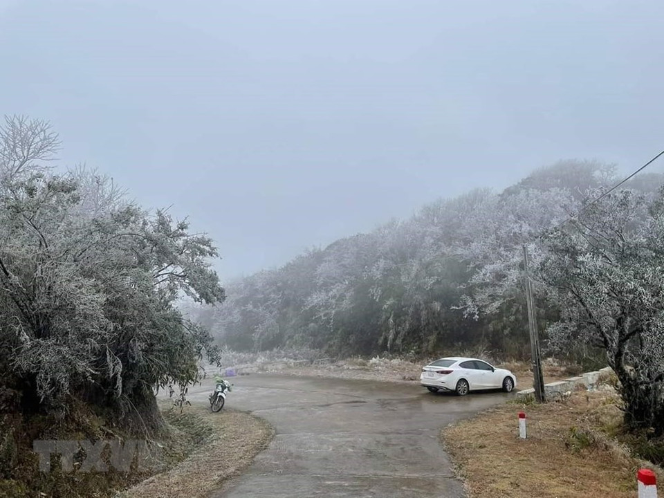 Mount Phia Oac is covered with a white colour of ice. The landscape looks like in Europe (Photo: VNA)