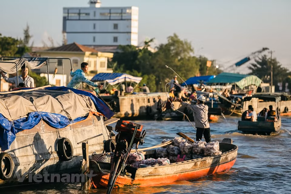 If you are adventurous and like to drive yourselves, you can rent a motorbike in Ho Chi Minh City and make the journey via Mekong Delta provinces to Can Tho City. A private car/minivan will be, as always, definitely a great choice for every traveller to Mekong Delta’s largest city – Can Tho. It costs you more but provides you the most flexible itineraries, stops, photo opts… and you could reach to few other interesting places that you don’t have a chance to see if you go by bus or taxi. Typical tours of Mekong Delta often include a visit to My Tho, Ben Tre or Cai Be along the way to Can Tho. It means you should book a trip that includes services of a tour guide and a driver. (Photo: Minh Son/Vietnam+)