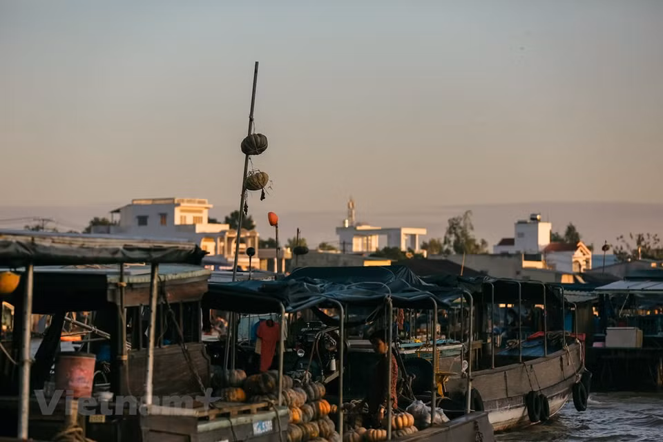 When it is still dark, local merchants bring their farm products and other things to the market. Buyers also want to shop early when the weather is still cool then go home to start their normal day. That is why you should get up early to see the most exciting moment of the market. The best time is from 5am to 7am when hundreds of boats gather to buy and sell goods in crowds. The most distinctive feature of the floating market is probably the bamboo pole called 'Cay Beo' with a length of 3m – 5m. This is a unique way to advertise when all kinds of goods that they sell are hang on the top so buyers could see from distance. (Photo: Minh Son/Vietnam+)
