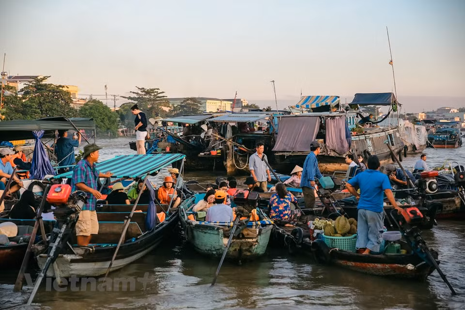 Cai Rang Floating Market serves as a wholesale market for fruits and other agricultural products of the region. Commodities gather there in a large number. You can see traders juggling fruit from boat to boat in a very smooth manner. Just look at what’s tied to the long pole above the boat to see what they’re selling. Local people and those from surrounding areas often use middle-size boats, canoes to carry agricultural products to the market, while big boats are used by traders to deliver fruit to everywhere. The market began operation over 100 years ago as a place to sell agricultural products and local cuisine. (Photo: Minh Son/Vietnam+)