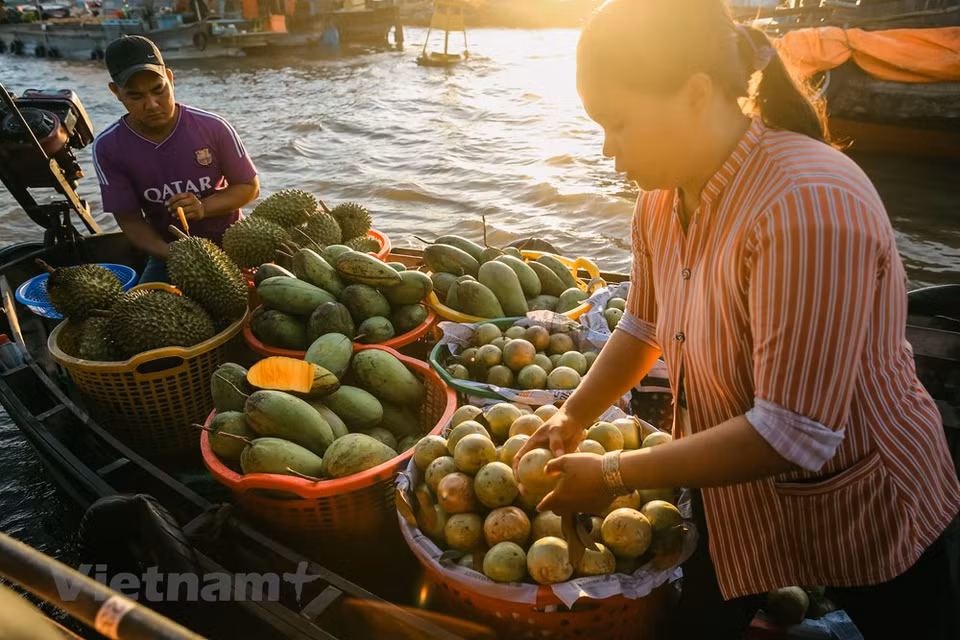 To experience Cai Rang at its best, get up early and take a boat trip, it is really worth for your day visit. It is about 6km away from the city centre to Ninh Kieu Wharf. You can easily take a taxi or motorbike to the quay then buy a boat ticket (18 USD per private boat or 6 USD per person for a sharing boat) to explore the floating market. After touring the Cai Rang Floating Market, you can also take time to walk around villages along the river to visit rice paper factory or fruit gardens. It is interesting to enjoy the cultural life in the Mekong Delta. (Photo: Minh Son/Vietnam+)