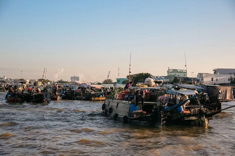 The market is the biggest of its kind in the Mekong Delta where trading on waterways has been a way of life for generations. The market was recognised as a national intangible cultural heritage in 2016. The market was also elected as one of the most impressive markets in the world by UK’s Rough Guides. Once you visit Mekong, floating market is a kind of things should not miss in your travel plan. 'Visiting the floating market in Cai Rang is a must-do activity when in Mekong Delta. A huge spread of produce is on sale from a fleet of brightly coloured boats. Most traders advertise their wares from the top of a long pole attached to their vessel,' UK magazine Rough Guides stated. (Photo: Minh Son/Vietnam+)