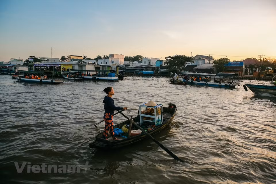 You shouldn’t miss out on cuisine experiences while visiting the floating market! Many floating restaurants open to serve breakfast for both sellers and shoppers. Here, you can find almost local dishes, such as 'com tam' (broken rice with grilled pork and egg), 'pho', 'hu tieu”, 'bun rieu' – some kinds of noodles that served with beef, pork and crab… With only 25,000 VND (around 1 USD), you can surely treat your hunger with quite a hearty meal. Don’t forget that people here serve a different type of coffee that you may not see anywhere: Ca Phe Kho. People keep coffee in a clay cook with fire to make it hot and good smell. With one dollar, you can have coffee for two! But if you are not familiar with the bitter of coffee, coconut is a different choice and sold around. (Photo: Minh Son/Vietnam+)