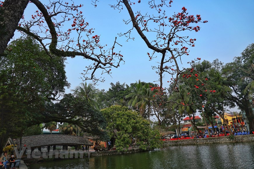 Red silk-cotton flowers are in full bloom at Thay Pagoda. Located at the foot of Sai Son Mountain, Thay Pagoda lies in a tranquil and beautiful village, which is only around 40km west of Hanoi. (Photo: VNA)