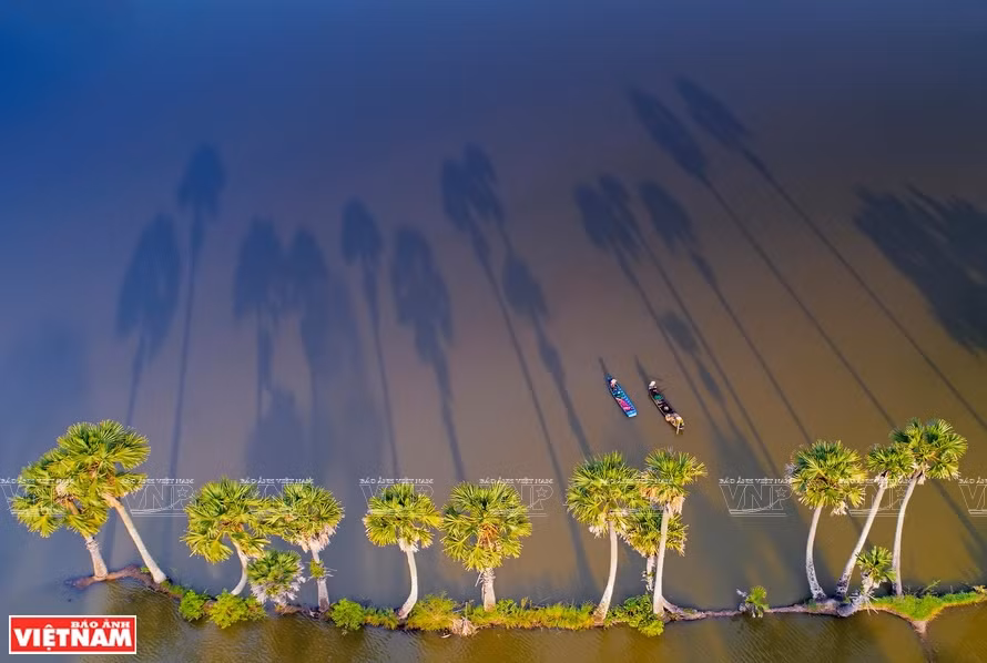 'Sunny afternoon' by a female photographer in Ho Chi Minh City during her trip across the country. (Photo: VNA)