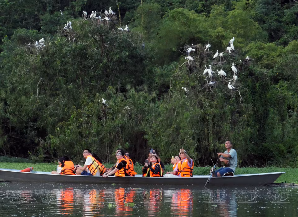 Visitors move in close to watch the birds take care of their young. (Photo: VNP/VNA)