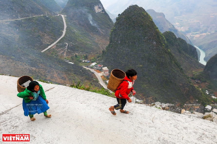 On the way to White Cliff lies majestic and beautiful natural scenery in the area of Ma Pi Leng Pass. (Photo: VNP/VNA)