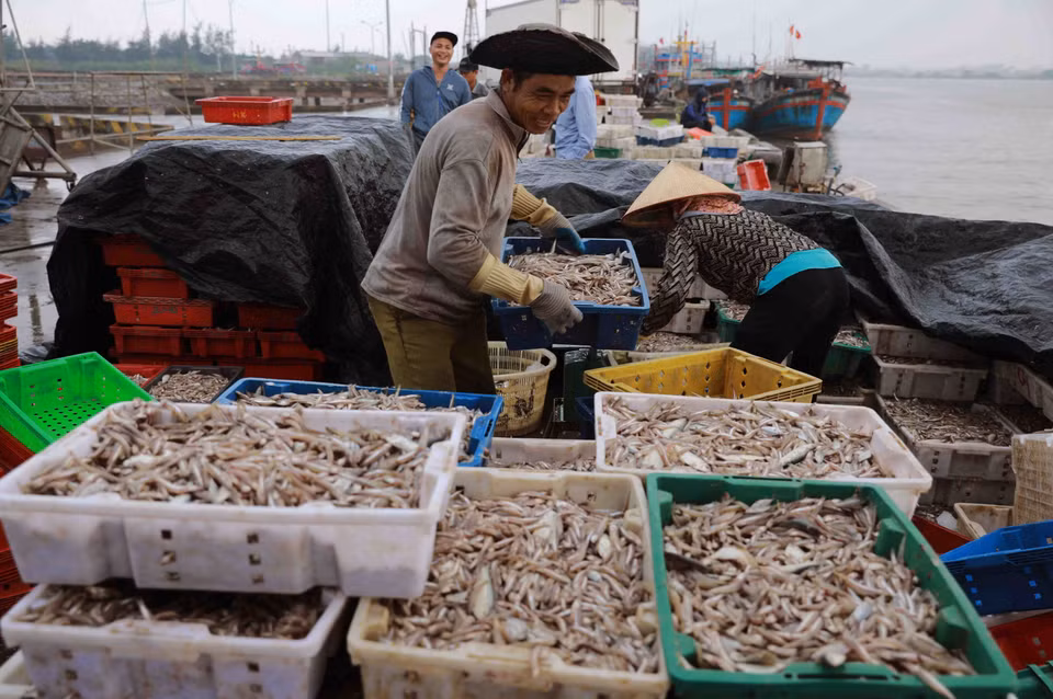 Transporting seafood at Ninh Co fishing port in Thinh Long town, Hai Hau district, Nam Dinh province. (Photo: VNA)