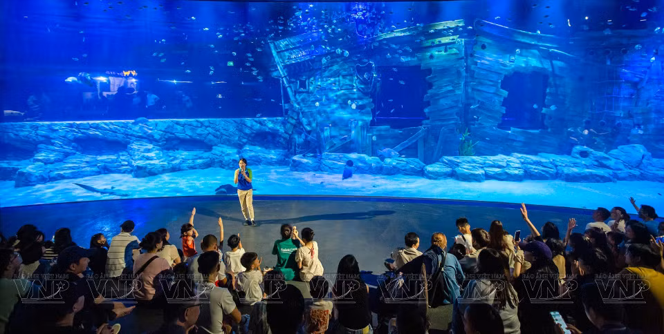 Visitors at the Lotte World Hanoi Aquarium. (Photo: VNP/VNA)