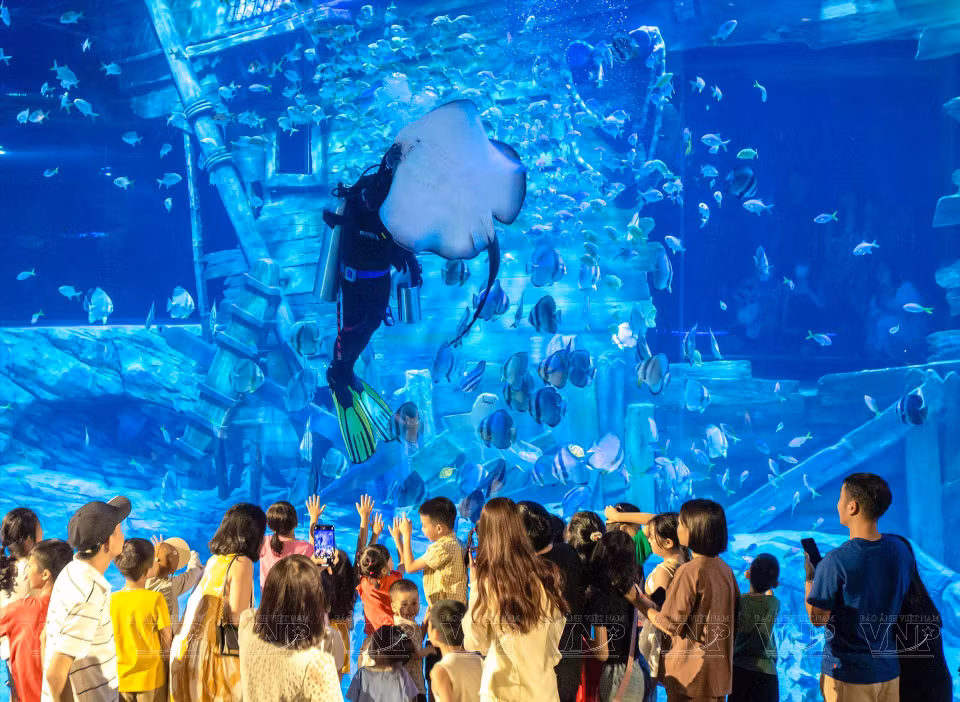 At the weekend, many families have fun at the aquarium, which is located on Vo Chi Cong and Lac Long Quan Streets. (Photo: VNP/VNA)