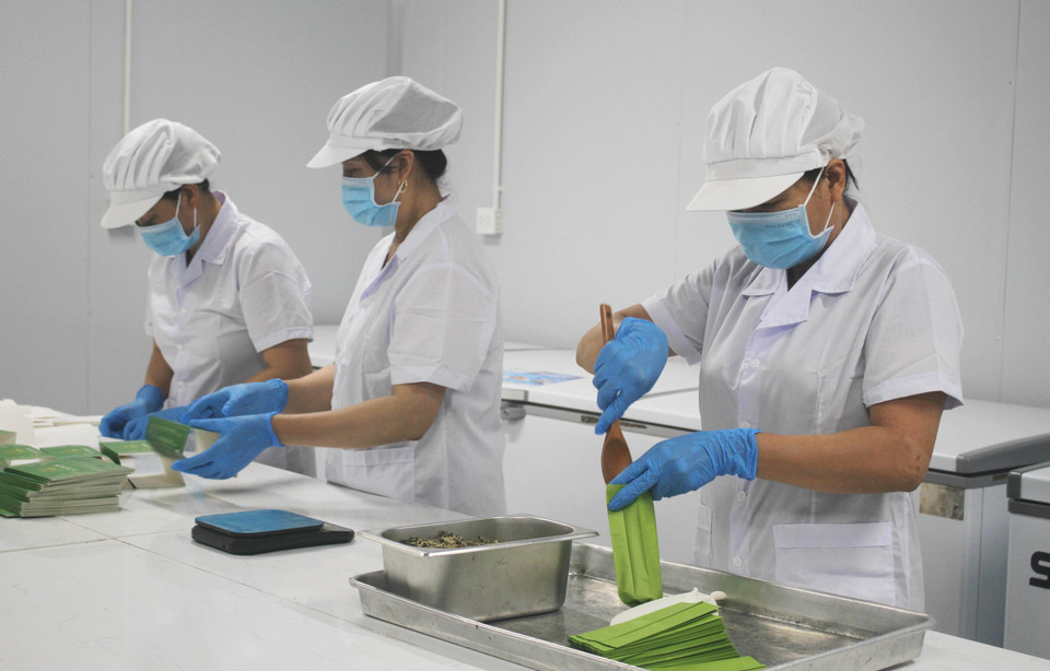 Producing lotus tea at the Hali Import-Export and Trading Services JSC in Ninh Binh province. (Photo: VNA)