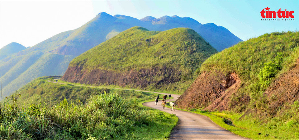 The Binh Lieu border route under the autumn sun. (Photo: Tin tuc newspaper)