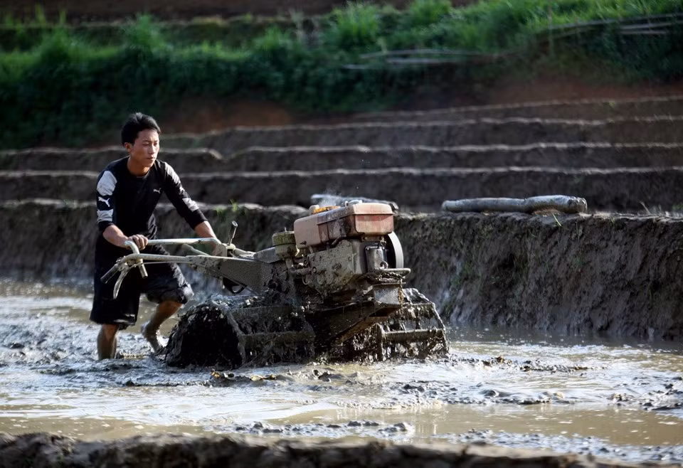 Plough machine helps them save labour force (Source: VNA)