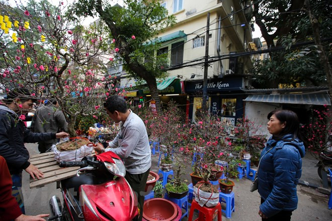 It is considered the oldest flower market in Hanoi (Source: VNA)