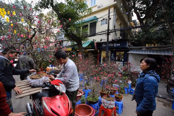 It is considered the oldest flower market in Hanoi (Source: VNA)