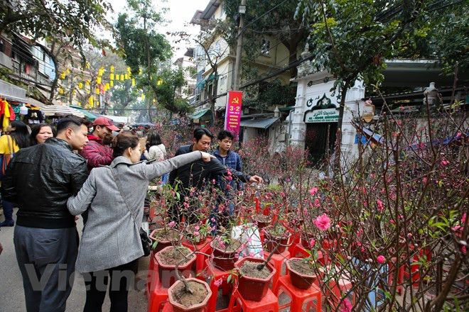 The market is opened one time every year from the 23rd to the 30th day of the last lunar month (Source: VNA)