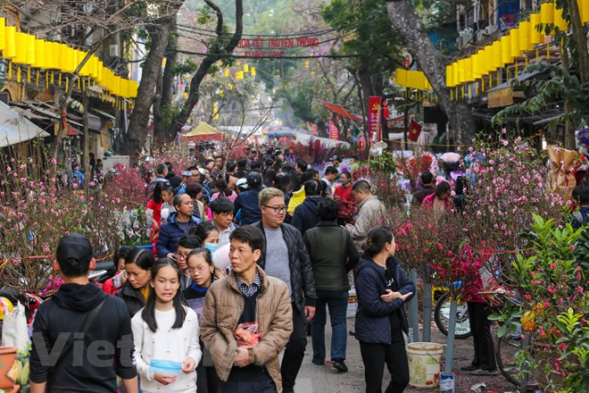 People come to Hang Luoc flower street to enjoy the Tet atmosphere (Source: VNA)