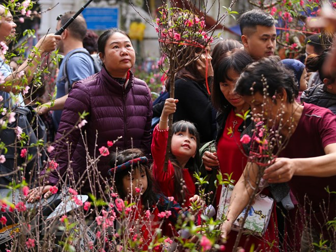 In spite of the appearance of many other flower markets, Hang Luoc market remains attractive to many Hanoians (Source: VNA).