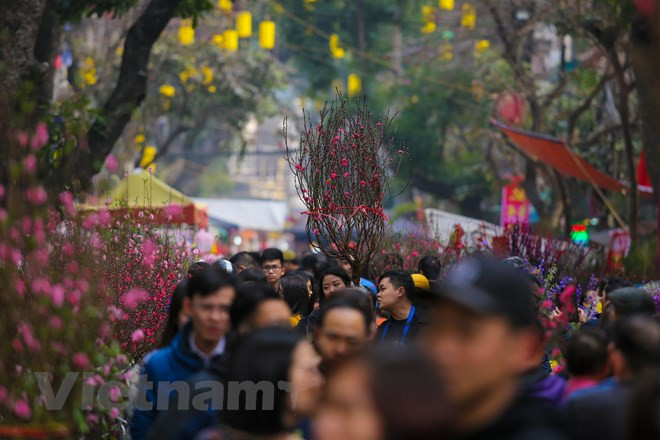 Hang Luoc flower market was formed at the beginning of the 20th century (Source: VNA).