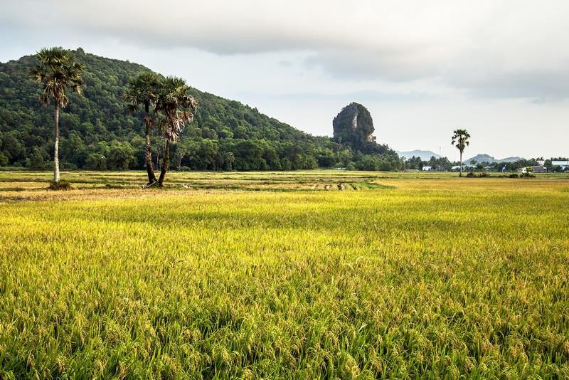 About 5 km from Ha Tien, Thach Dong mountain is uniquely shaped (Photo: VNA)
