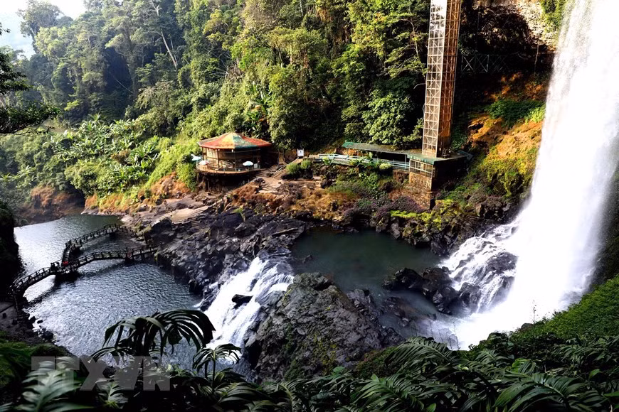  Dambri waterfall is surrounded by a diverse and rich flora, with flowers of all kinds blooming all year round. (Photo: VNA)