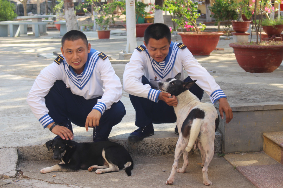 Rare moments when soldiers on Son Ca Island, Truong Sa (Spratly Archipelago) have time to relax with their pets. (Photo: Phan Sau – Sy Tuyen – Thang Trung/VNA)