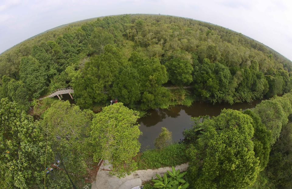The untouched beauty of the Lung Ngoc Hoang Nature Reserve. (Photo: VNA)