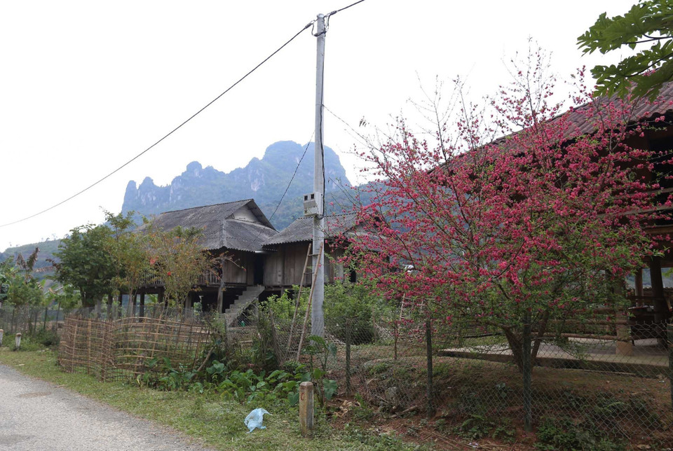 Visitors to the bay can admire the stilt houses of the Thai ethnic minority group, which are typical of the northwest region. (Photo: VNA)