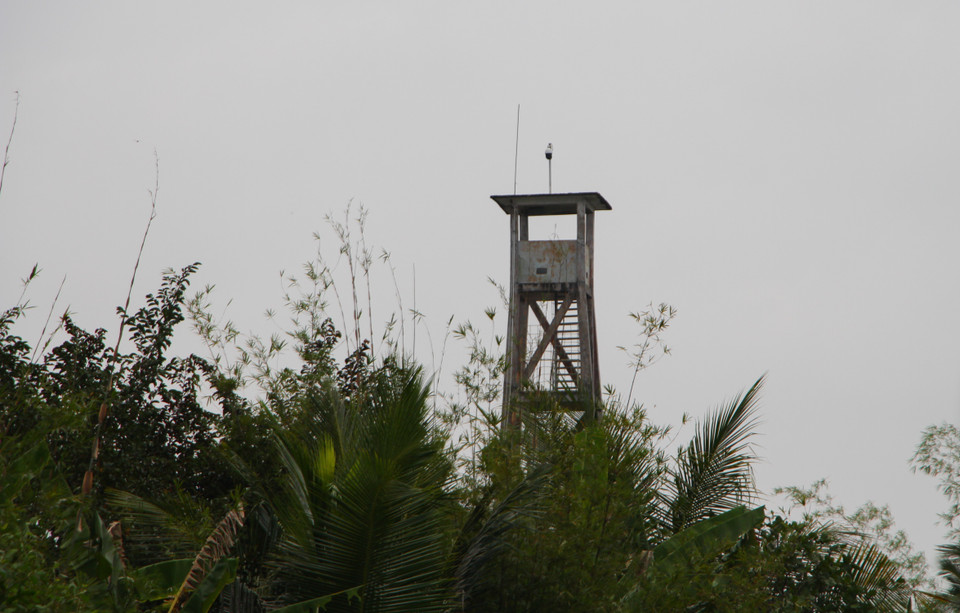 The Lung Ngoc Hoang Nature Reserve in Phuong Binh commune, Phung Hiep district, Hau Giang province has an effective camera system to assist conservation efforts. (Photo: VNA)