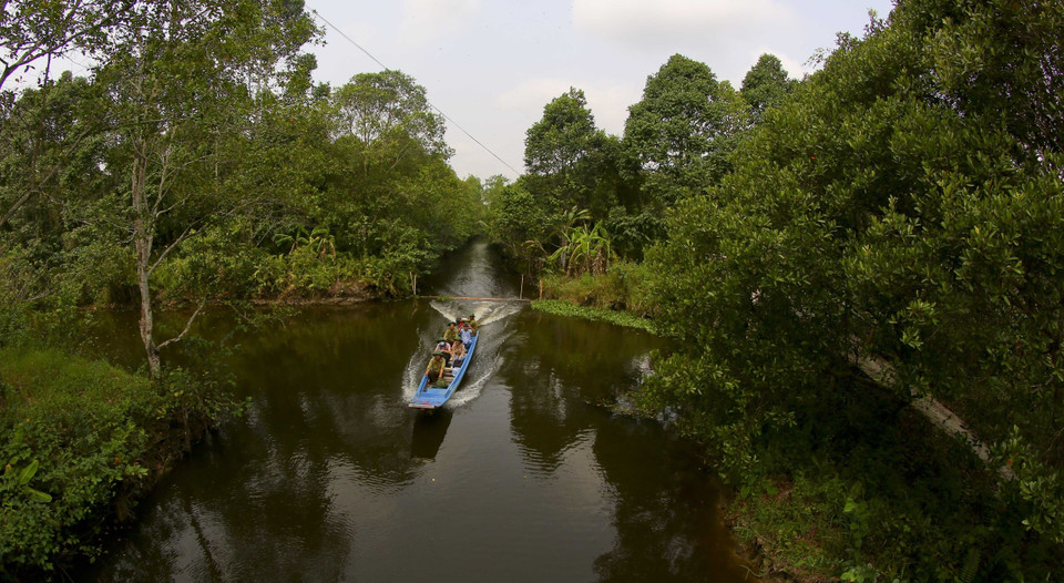The untouched beauty of the Lung Ngoc Hoang Nature Reserve. (Photo: VNA)