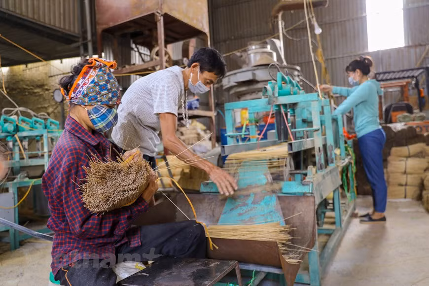 The craft of making incense in Quang Phu Cau dates back more than 100 years. Thanks to skillfulness and diligence of the villagers, local incense products have made their ways to localities across Vietnam. Before the COVID-19 pandemic broke out, Quang Phu Cau village was awash with hundreds of bunches of brightly coloured incense sticks standing on the roadsides in the sun for drying. Such images disappeared due to a steep decline in production as a result of the coronavirus resurgence. After the capital city eased social distancing restrictions, local authorities and villagers have been excited to reopen, vowing to focus again on the craft and economic development. (Photo: VietnamPlus)