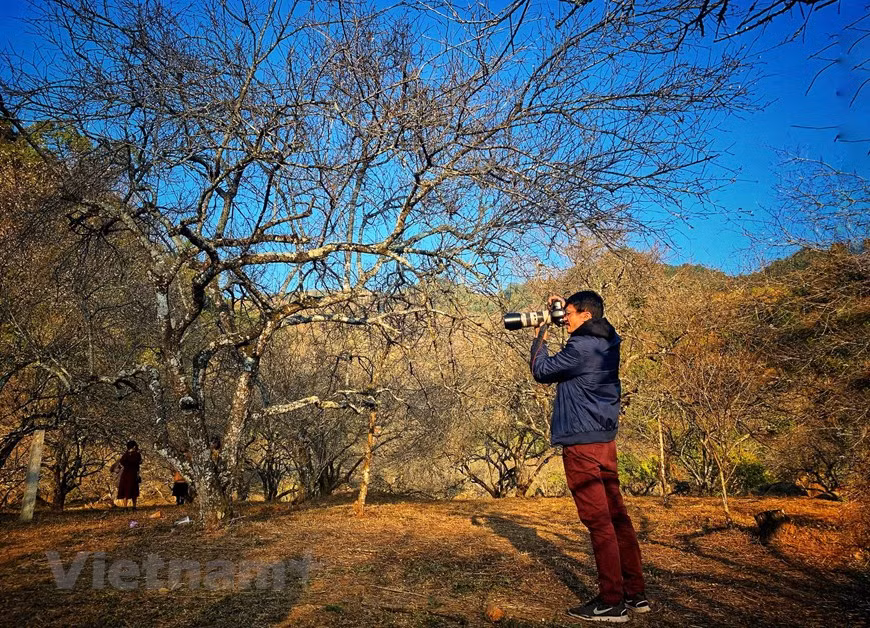 The vibrant colours of the Northwest have attracted many photographers to hunt and capture beautiful moments and images (Photo: VNA)