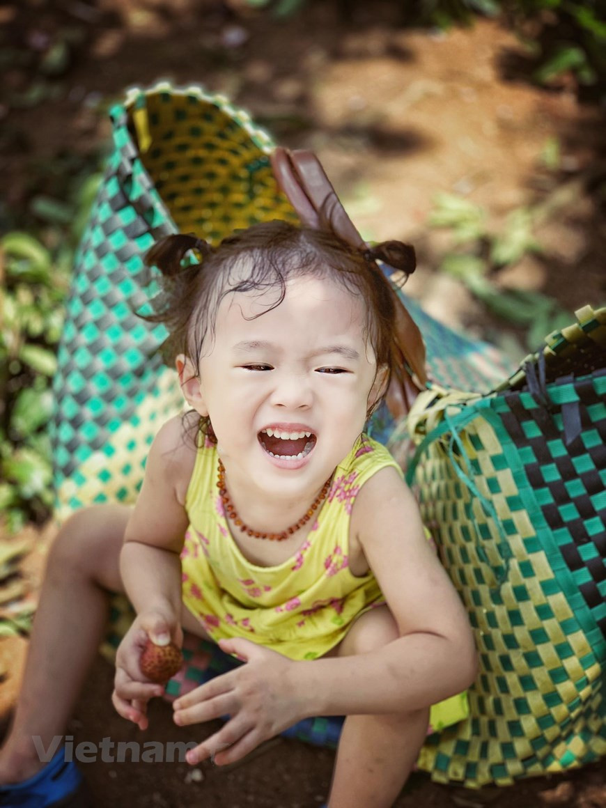 A kid expresses her excitement when eating freshly-picked lychees under a tree canopy (Photo: Vietnam+)