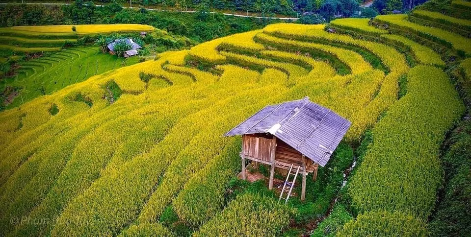 Charming terraced rice fields in Hung Dao commune, Bao Lac district. (Photo: VNA)