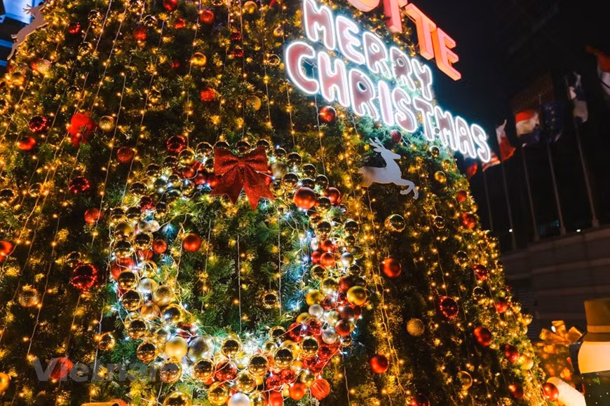 Christmas atmosphere is overwhelming every corner of the capital city of Hanoi with shimmering pine trees being the most attracting thing to visitors. (Photo: VNA)