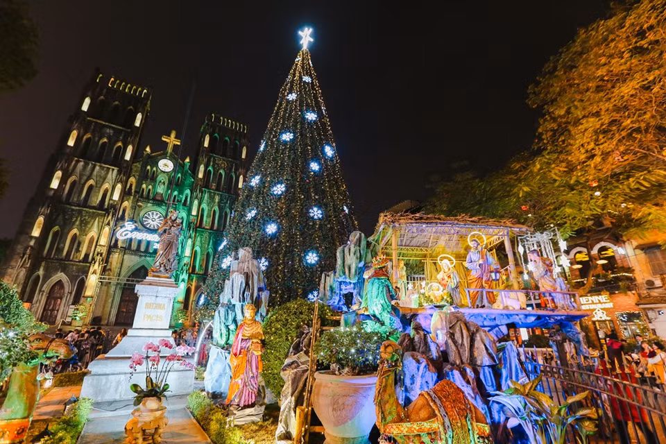 Christmas tree at St. Joseph Cathedral is considered the most giant pine tree in Hanoi (Photo: VNA)