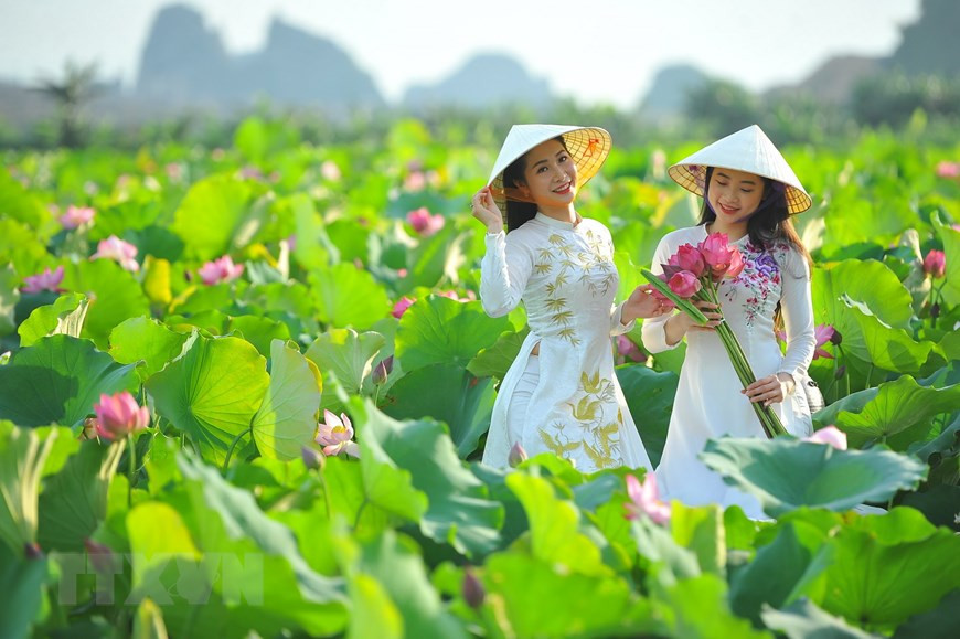 Many youngsters come to lotus lakes to capture beautiful moments (Photo: VNA)