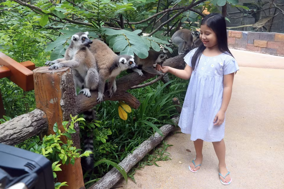 Wild animals at Vinpearl Safari Phu Quoc (Photo: VNA)