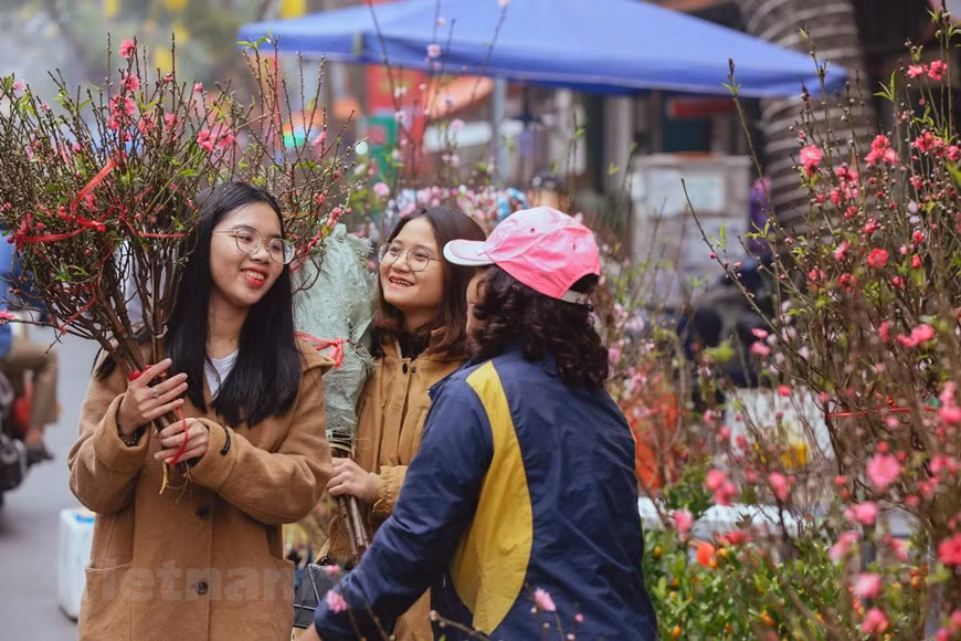 This activity expects to create a driving force to boost tourism development in Hoan Kiem district, Hanoi’s Old Quarter area, making the areas a ‘safe-friendly-quality-attractive’ destination.Hanoians go to the flower market not only to buy flowers but also to enjoy the market’s atmosphere. Many people visits the Hang Luoc market every Tet. People come to the market to buy peach blossoms and kumquat trees and to see whether this year’s flowers are beautiful or not, which depends on the weather. To visit the flower market is to feel the spring atmosphere. In addition to square sticky rice cakes, peach blossoms and kumquat trees make Hanoi Tet more memorable. (Photo: Vietnamplus)