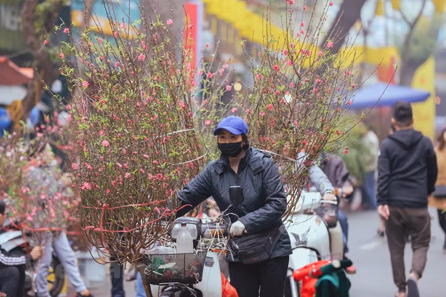 Hang Luoc flower market not only satisfies our sight but also feed our taste by eye-catching sweeties, dried fruits, jams, and many savory street foods. Hanoi within a month before Tet holiday has become more bustling than other days, but to find the authentic taste of Tet besides Hang Luoc flower market, people are suggested a few places for the unforgettable experience. Buying a peach blossom branch and a kumquat tree to decorate for Tet is a long-time tradition of the Vietnamese people, especially in the North. A week or two before Tet, seasonal flower markets open in multiple locations around Hanoi, of which the flower market in Hang Luoc Street in the Old Quarter seems to be the most exciting and crowded (Photo: Vietnamplus) 