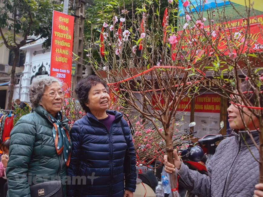  Traditional Tet flower market which is commonly known as Hang Luoc flower market has become an unique activity of people living in the Old Quarter in particular and Hanoi in general. The hundred-year-old Hang Luoc flower market in inner Hanoi has become more crowded and bustling with the colours of hundred types of spring flowers before the fast approaching Tet holidays. Kumquat trees and peach flowers from the flower villages of Quang Ba, Nhat Tan and Nghi Tam, along with other types of Tet flowers from famous flower villages outside of Hanoi, are brought to the market. Nowadays, Tet flowers are sold all across Hanoi, however, many Hanoi people still go to the traditional market to buy flowers and enjoy the atmosphere. (Photo: Vietnamplus) 