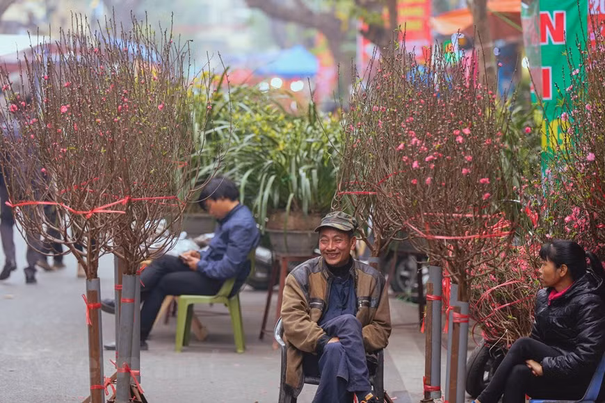 On Tet occasion, farmers often gather at the market to sell their flowers. In these days before Tet, no matter how crowded the flower market is, people try to visit it to catch the early spirit of spring, take some photos, and enjoy the beauty of brilliant blossoms. Perhaps people come to Hang Luoc flower market neither buy nor sell, they just come to Hang Luoc to feel the elegance and joy surrounding. Prepare for the annual flower market in Hang Luoc, flowers, lanterns, clothes, and other products have been selected, transported, and displayed on each booth, which helps visitors easily pick their favorite items. (Photo: Vietnamplus) 
