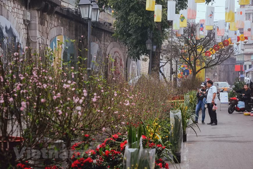 The traditional flower market opens on Ha Noi’s Hang Luoc, Hang Khoai, Hang Ruoi, Hang Ma and Phung Hung mural streets from 8h00 to 22h00 daily The city will block few of the streets in the centre of the Old Quarter to open a walking street for flower market available for locals to shop for their Tet (Lunar New Year) flowers and also attract foreign visitors to join the Tet holiday atmosphere. It is a great opportunity for travellers to grasp a glimpse of local life and cultural insight and especially great for experiencing the extra hyped up vibe during Tet festival preparation (Photo: Vietnamplus)