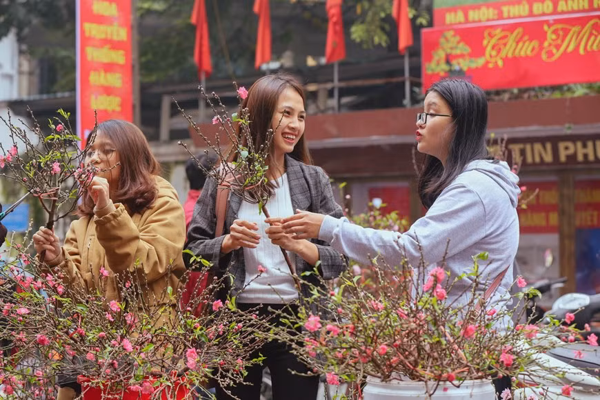 Amid the bustling atmosphere of Hanoi during these days, people find special leisure which hardly find in many markets. Just with a length of 264 meters connecting Hang Cot to Cha Ca, Hang Luoc flower market has existed for over 100 years from the beginning excluding New Year in 1947 due to the war. Unlike another flower market as Quang Ba, flowers will not be heaped up with small or big bunches; flowers in Hang Luoc market will be chosen meticulously from flower villages around and displayed finely. Traditional flowers are popular here such as peach flowers, kumquats, dahlias, violets, gladioluses, narcissuses. (Photo: Vietnamplus)