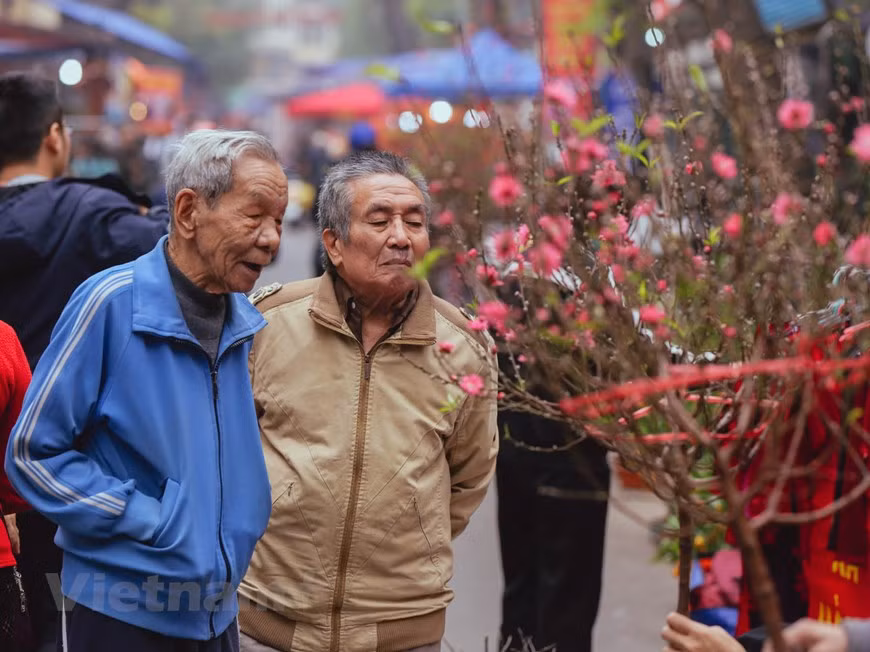 However, many generations of Hanoians come to the market during the last days of the year. The age-old flower market was established in the first years of the 20th century, Hang Luoc flower market is the only market opened annually on Hang Luoc (the comb), inside Hanoi Old Quarter, it starts from the 23rd day of the last month of the lunar calendar until New Year’s Eve. Dating back to the Le Dynasty, Hang Luoc belonged to Phu Tu Hamlet and Vinh Tru Hamlet, Dong Xuan district nowadays, old Tho Xuong district, it specialized in making combs. In 1912, Hang Luoc became famous flower market of imperial Thang Long Citadel with many kinds originally from Quang Ba, Nhat Tan peach, Ngoc Ha daisies. (Photo: Vietnamplus) 